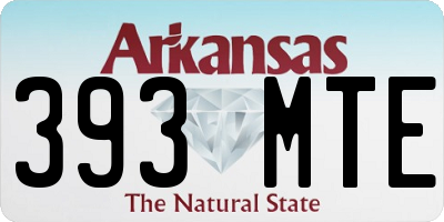AR license plate 393MTE