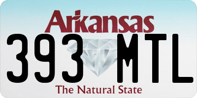AR license plate 393MTL