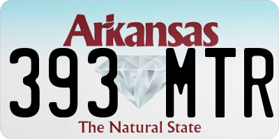 AR license plate 393MTR