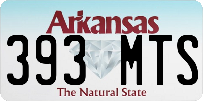 AR license plate 393MTS