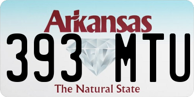 AR license plate 393MTU
