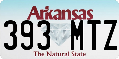 AR license plate 393MTZ