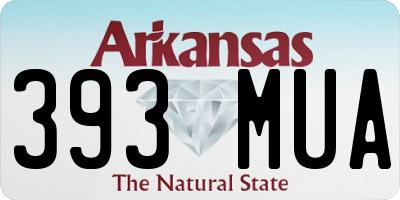 AR license plate 393MUA