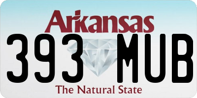 AR license plate 393MUB