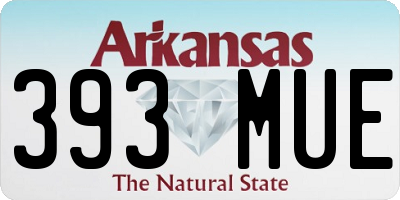 AR license plate 393MUE