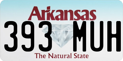 AR license plate 393MUH