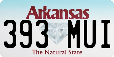 AR license plate 393MUI