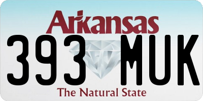 AR license plate 393MUK