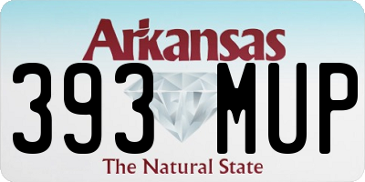 AR license plate 393MUP