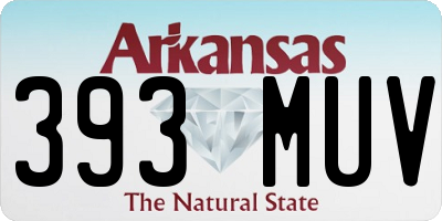 AR license plate 393MUV