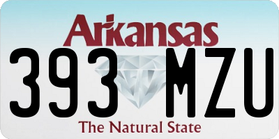 AR license plate 393MZU