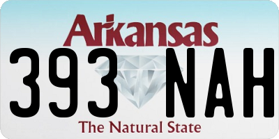 AR license plate 393NAH