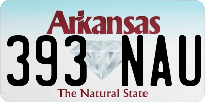AR license plate 393NAU