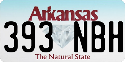 AR license plate 393NBH