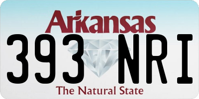 AR license plate 393NRI