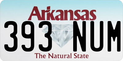 AR license plate 393NUM