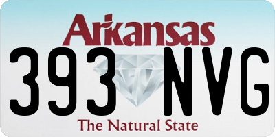 AR license plate 393NVG