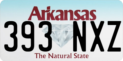 AR license plate 393NXZ