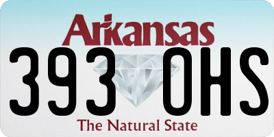AR license plate 393OHS