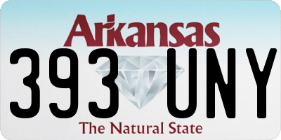 AR license plate 393UNY