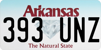 AR license plate 393UNZ