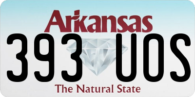 AR license plate 393UOS