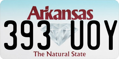 AR license plate 393UOY