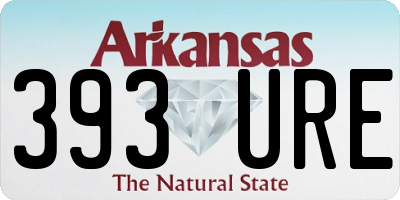 AR license plate 393URE