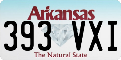 AR license plate 393VXI