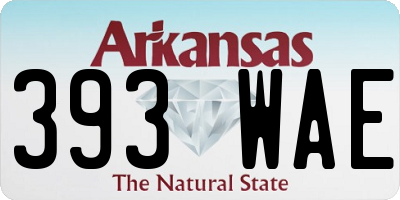 AR license plate 393WAE