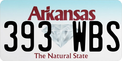 AR license plate 393WBS