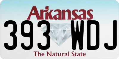 AR license plate 393WDJ