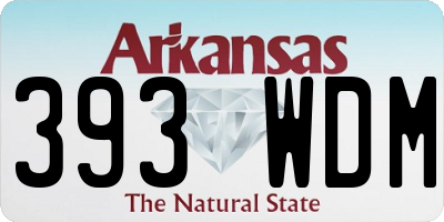AR license plate 393WDM