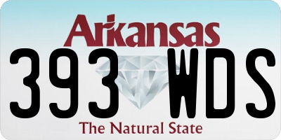 AR license plate 393WDS