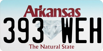 AR license plate 393WEH
