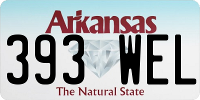 AR license plate 393WEL