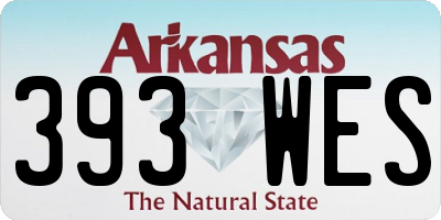 AR license plate 393WES