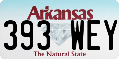 AR license plate 393WEY