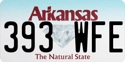 AR license plate 393WFE