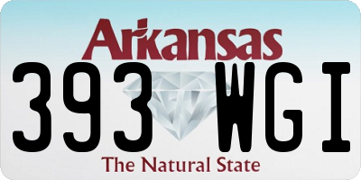 AR license plate 393WGI