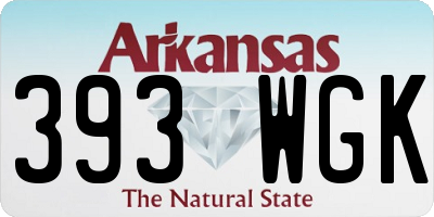 AR license plate 393WGK