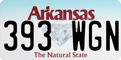 AR license plate 393WGN