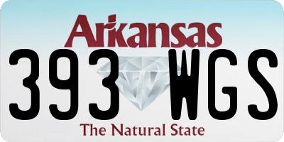 AR license plate 393WGS