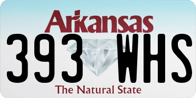 AR license plate 393WHS