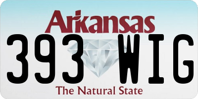 AR license plate 393WIG