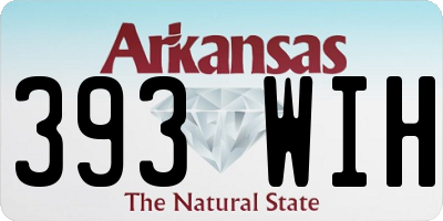 AR license plate 393WIH