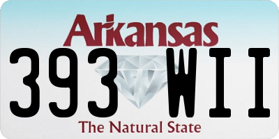 AR license plate 393WII