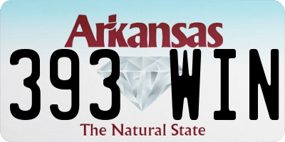 AR license plate 393WIN