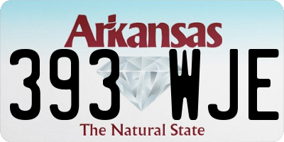 AR license plate 393WJE