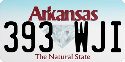 AR license plate 393WJI